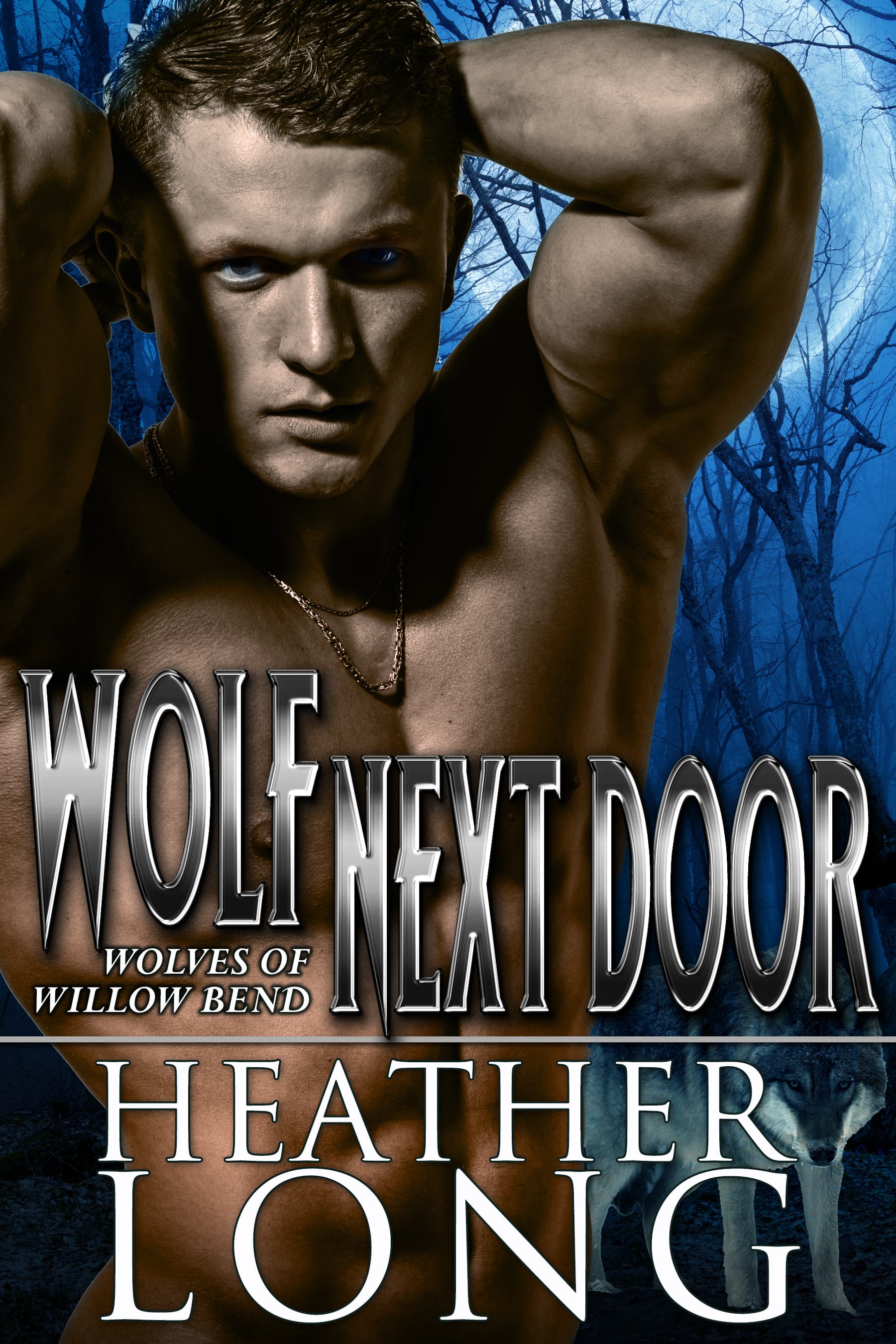 Wolf Next Door book cover