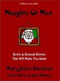 Naughty Or Nice book cover