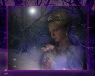 An Untold Tale: Elena's Christmas book cover
