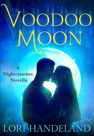 Voodoo Moon book cover