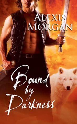 Bound by Darkness book cover