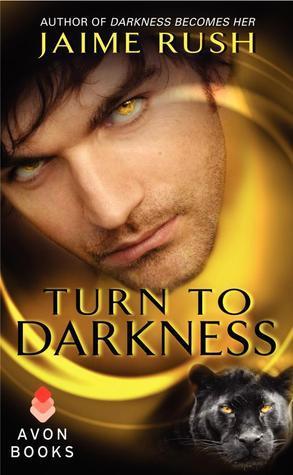 Turn to Darkness book cover