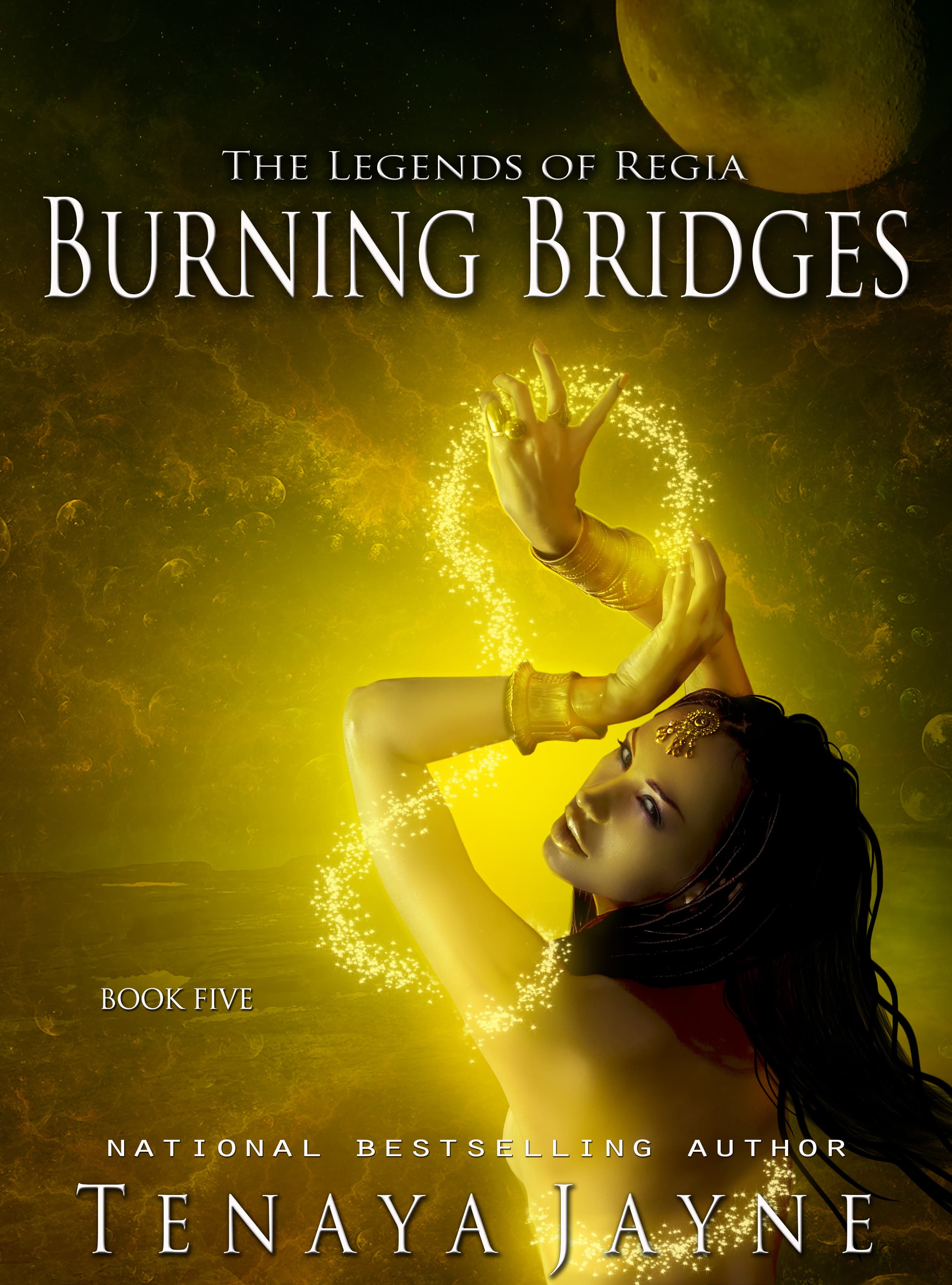 Burning Bridges book cover