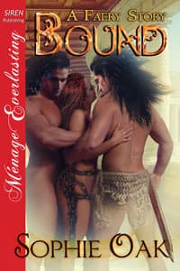 Series Book Cover Preview