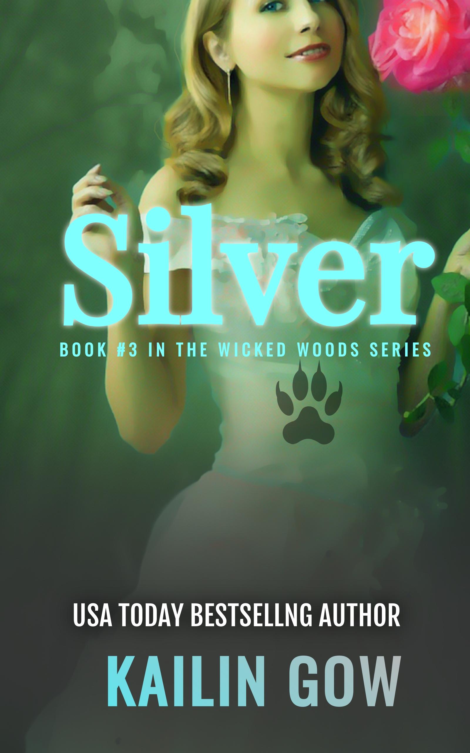 Silver book cover