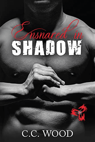 Ensnared in Shadow book cover
