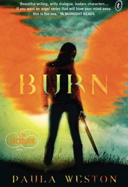 Burn book cover