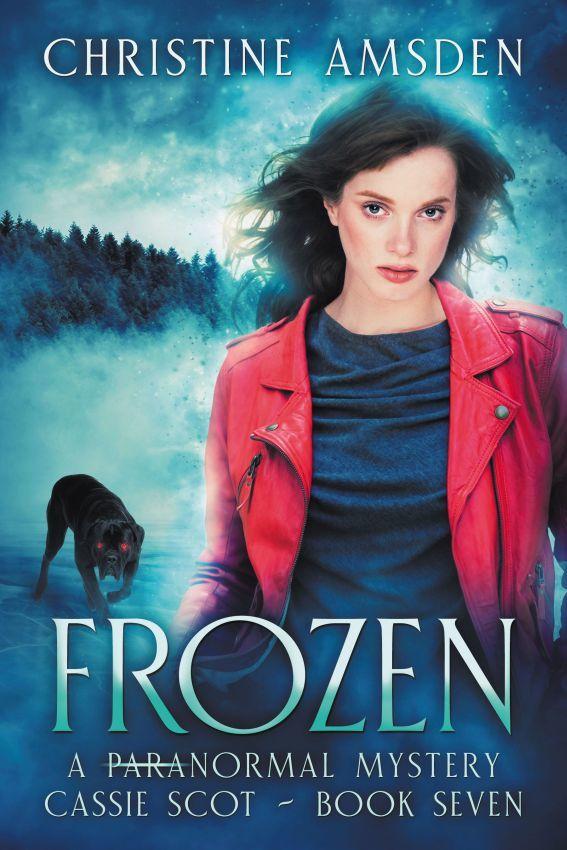 Frozen book cover