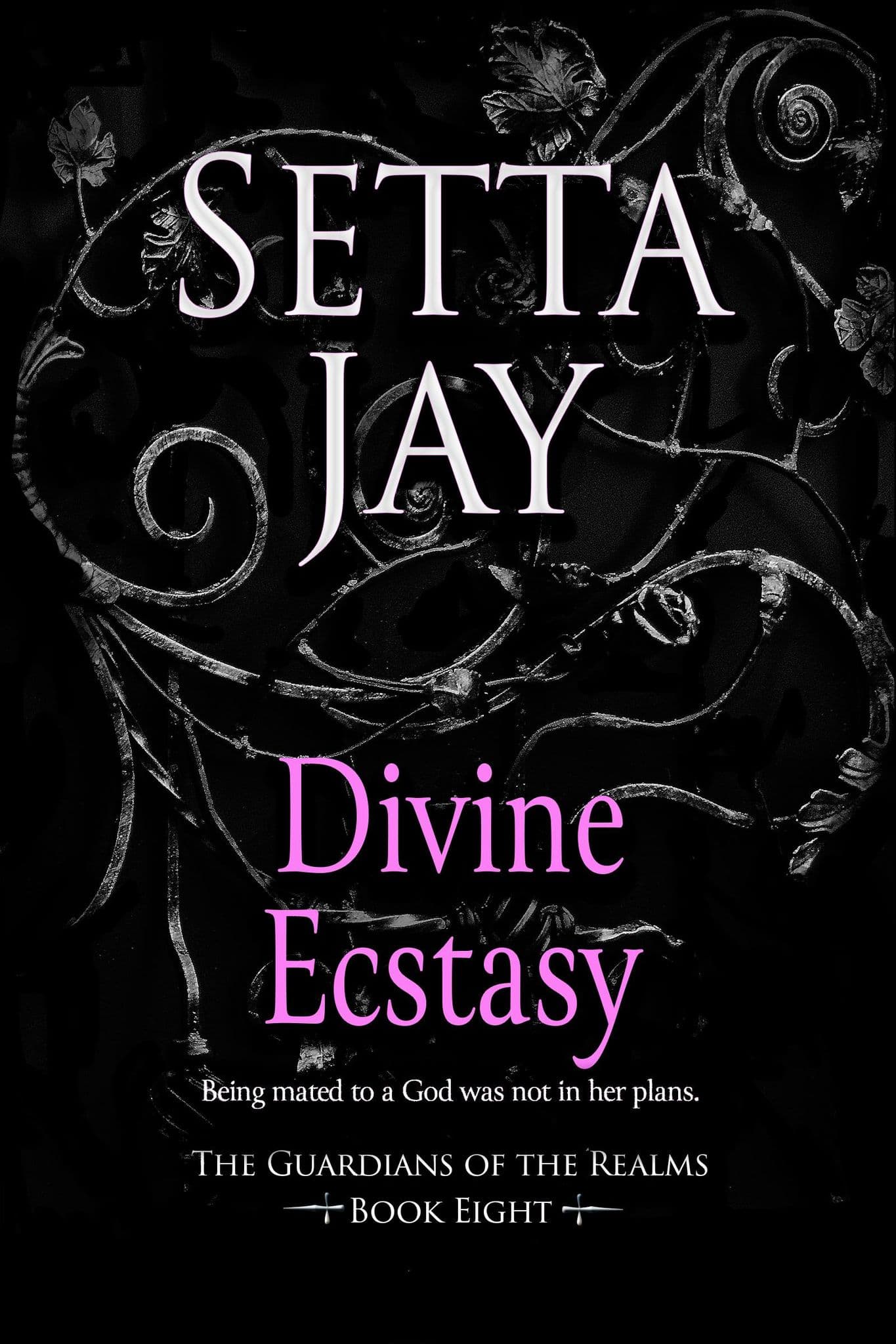 Divine Ecstasy book cover