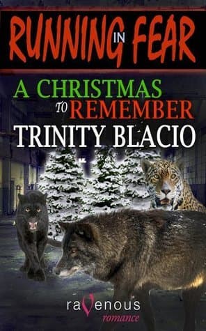 A Christmas to Remember book cover