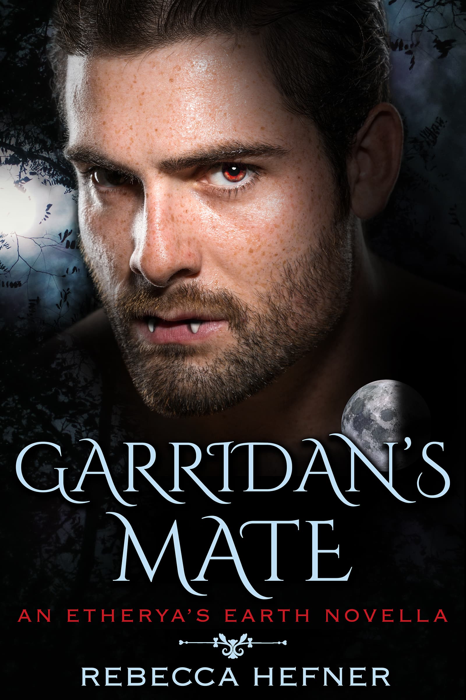 Garridan's Mate book cover