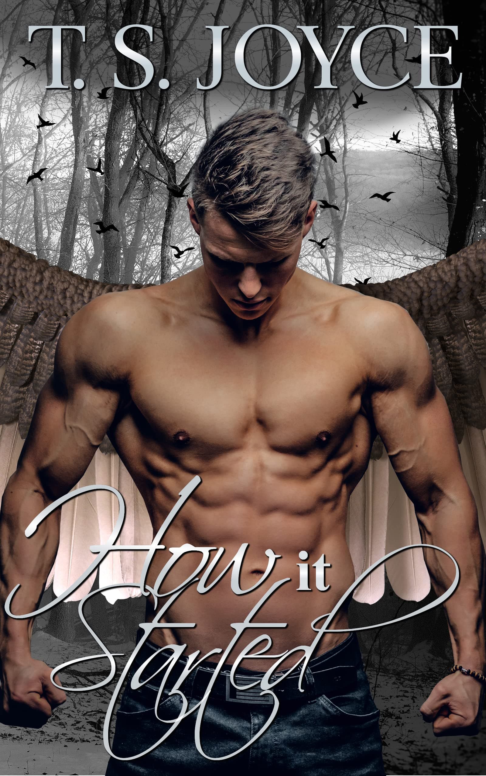 How It Started book cover