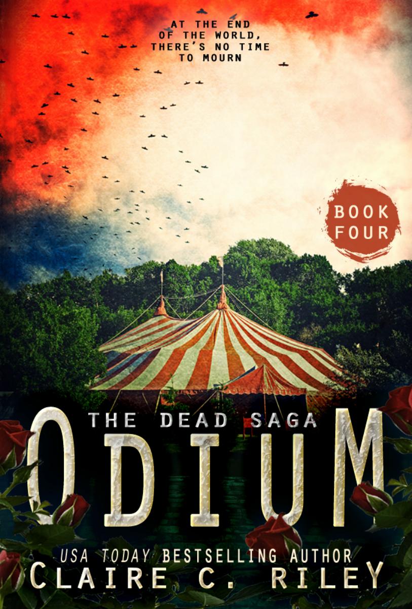 Odium IV book cover