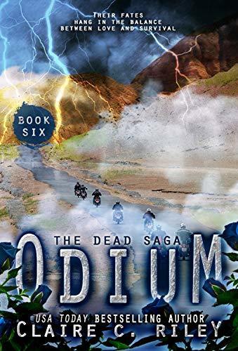 Odium VI book cover