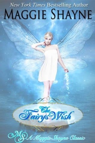 The Fairy's Wish book cover