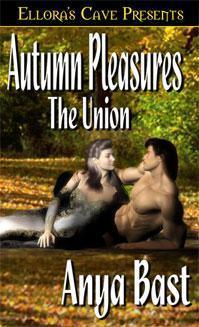 Autumn Pleasures: The Union book cover