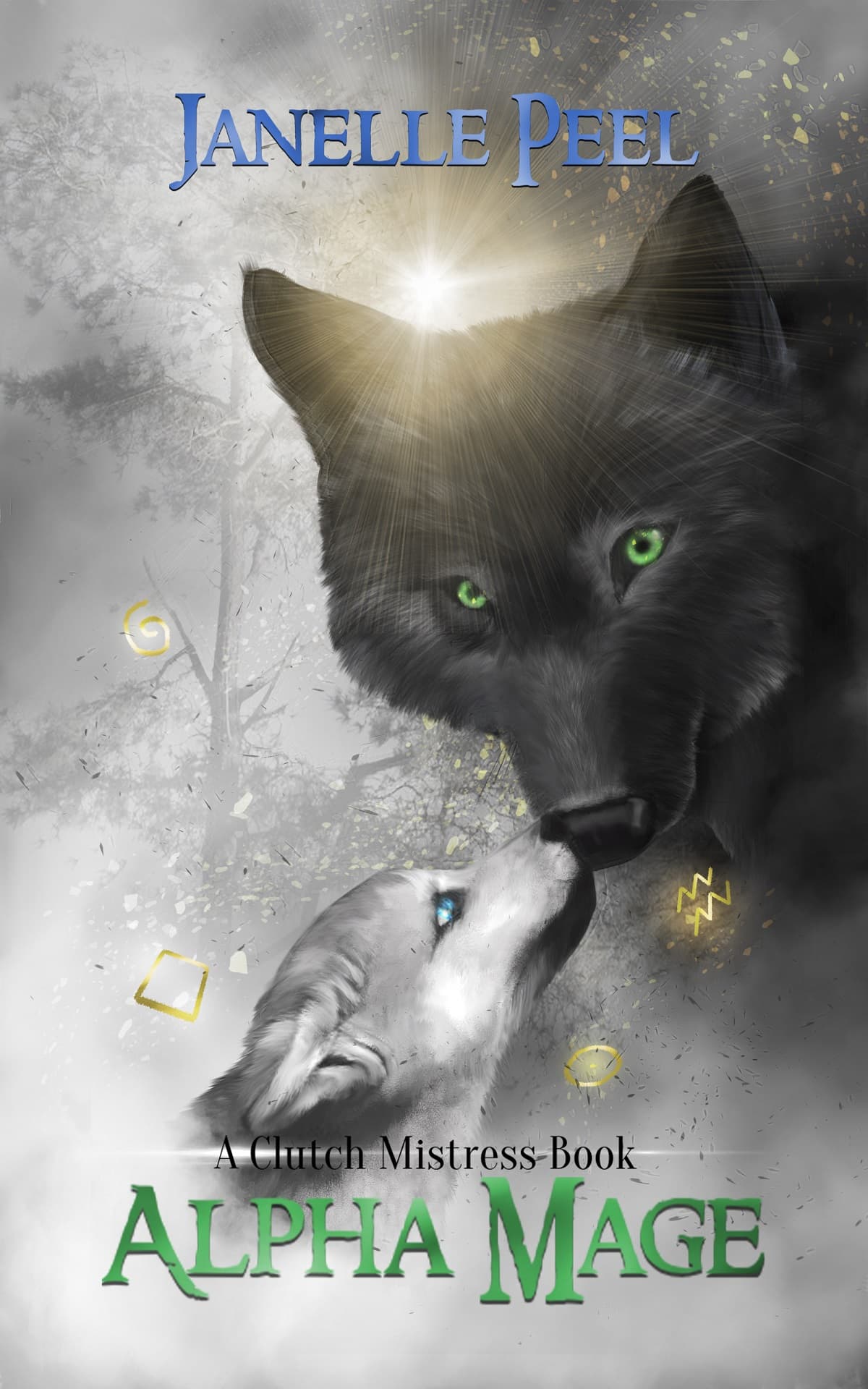 Alpha Mage book cover