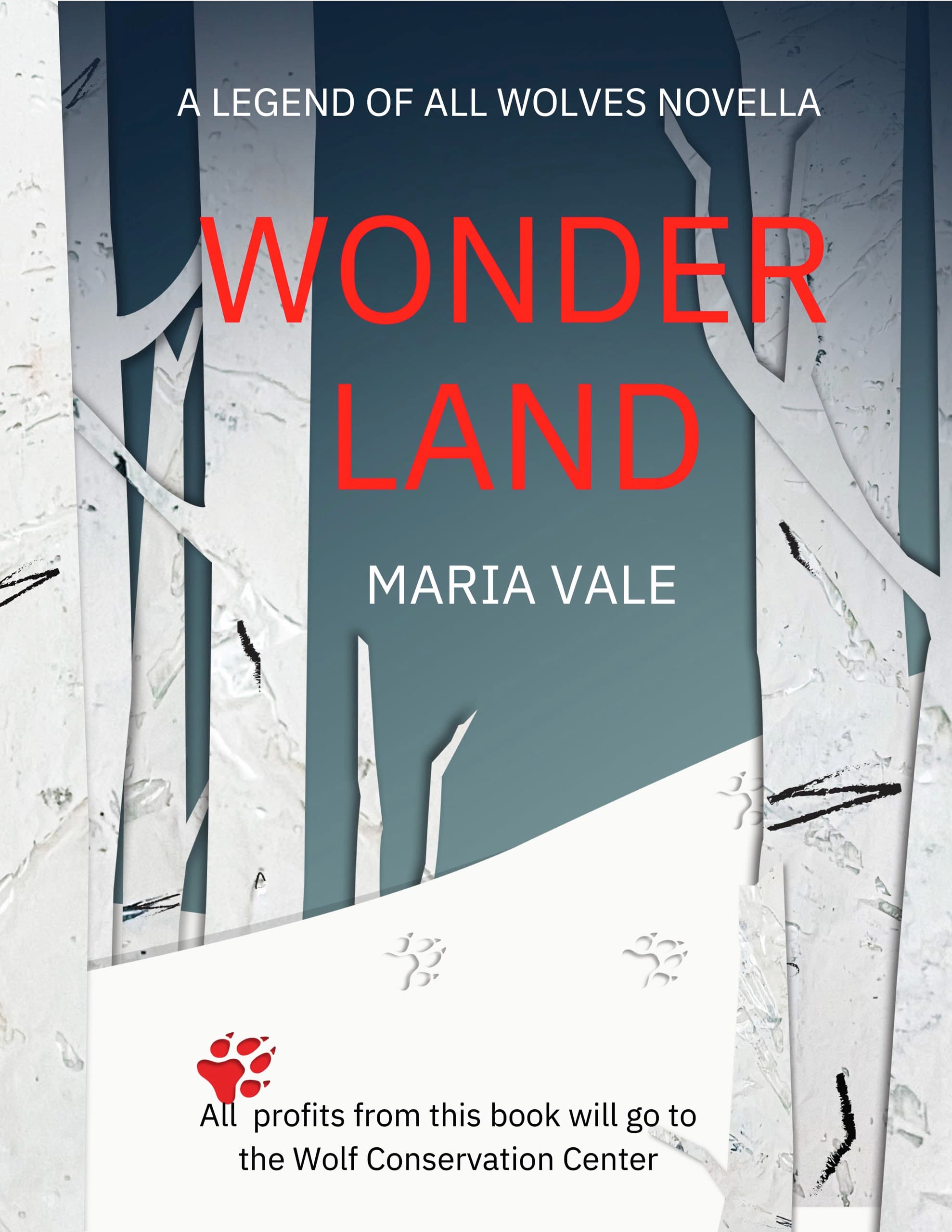 Wonder Land book cover