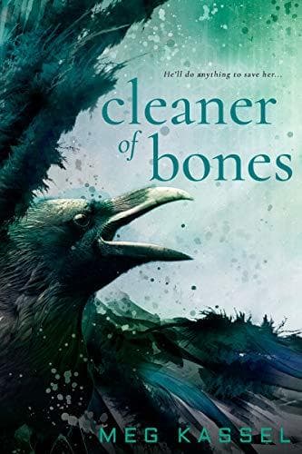 Cleaner of Bones book cover