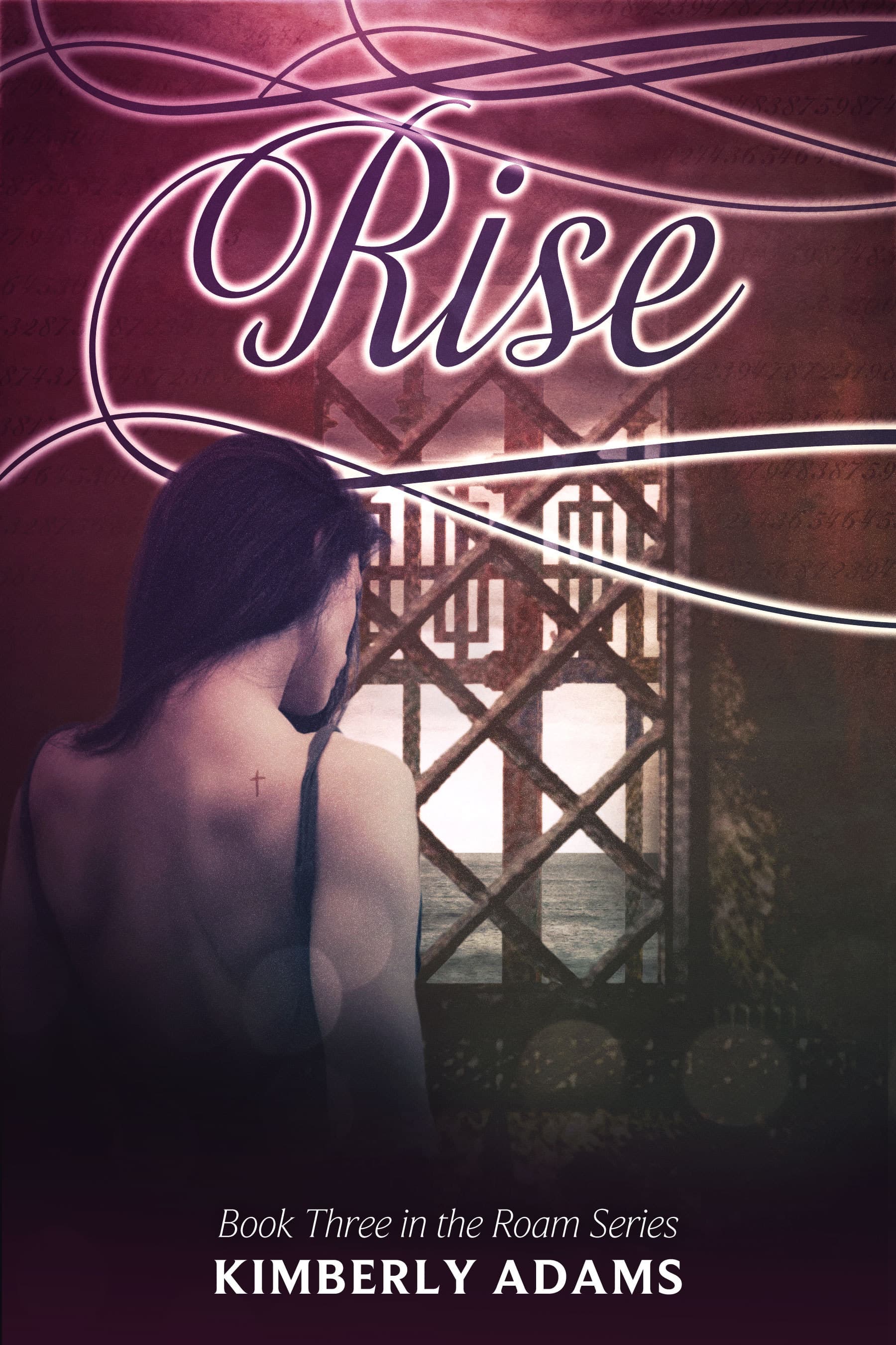 Rise book cover