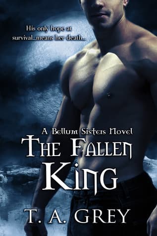 The Fallen King book cover