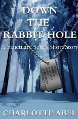 Down the Rabbit Hole book cover