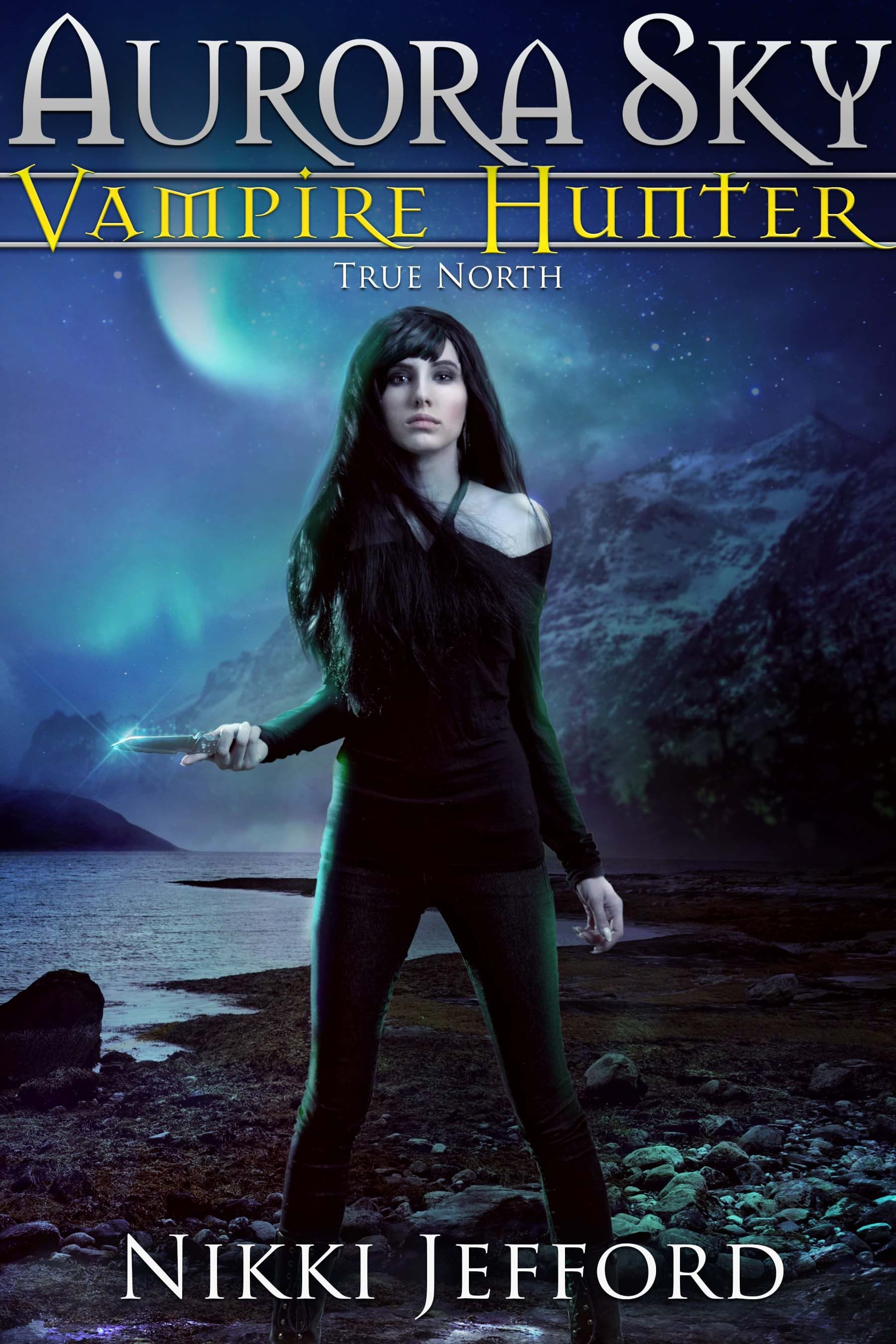 True North book cover