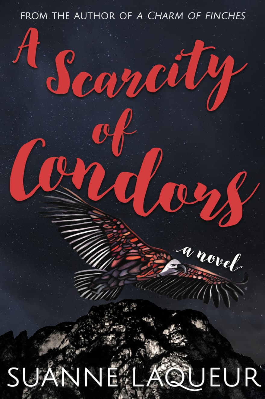 A Scarcity of Condors