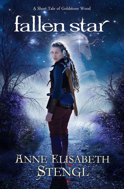 Fallen Star book cover