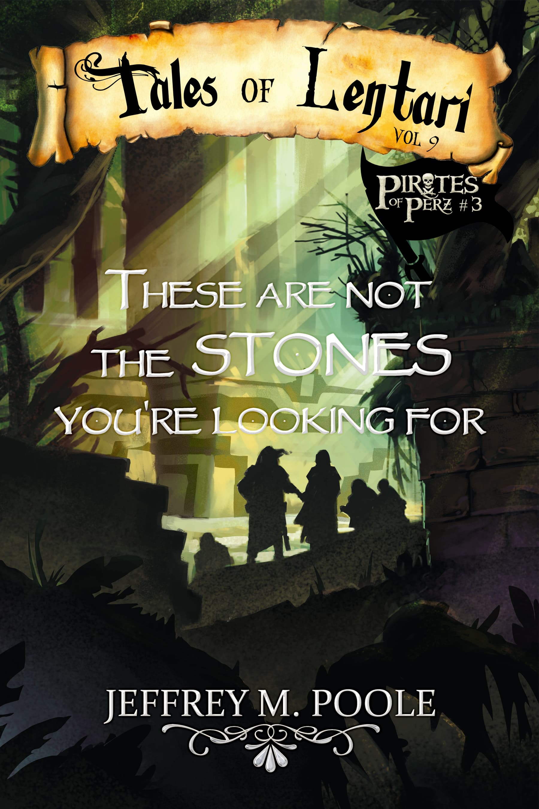 These are Not the Stones You're Looking For book cover