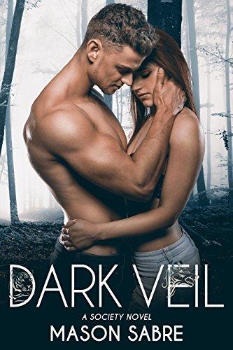 Dark Veil book cover