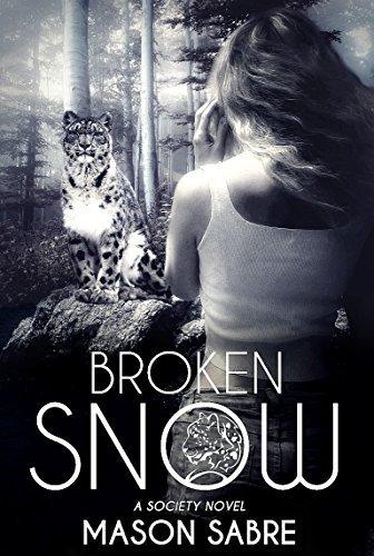 Broken Snow book cover