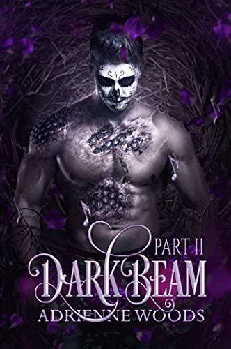 Darkbeam Part II book cover