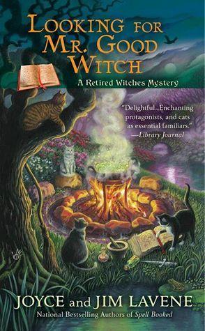 Looking for Mr. Good Witch book cover