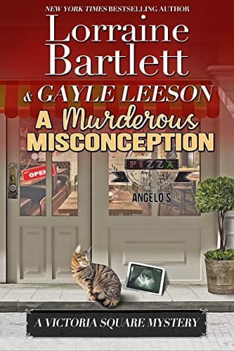 A Murderous Misconception book cover