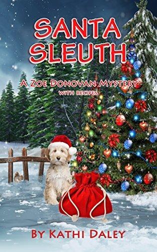 Santa Sleuth book cover