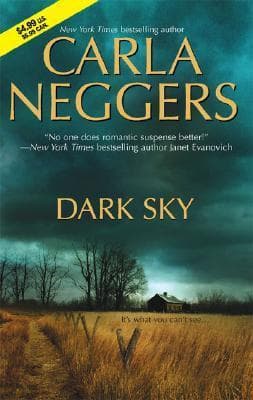 Dark Sky book cover