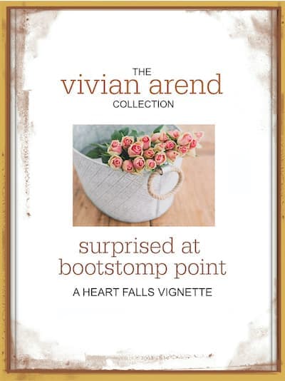 Surprised at Bootstomp Point book cover