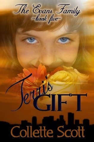 Terri's Gift book cover