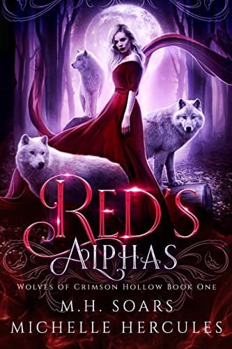 Series Book Cover Preview