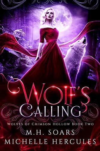 Series Book Cover Preview