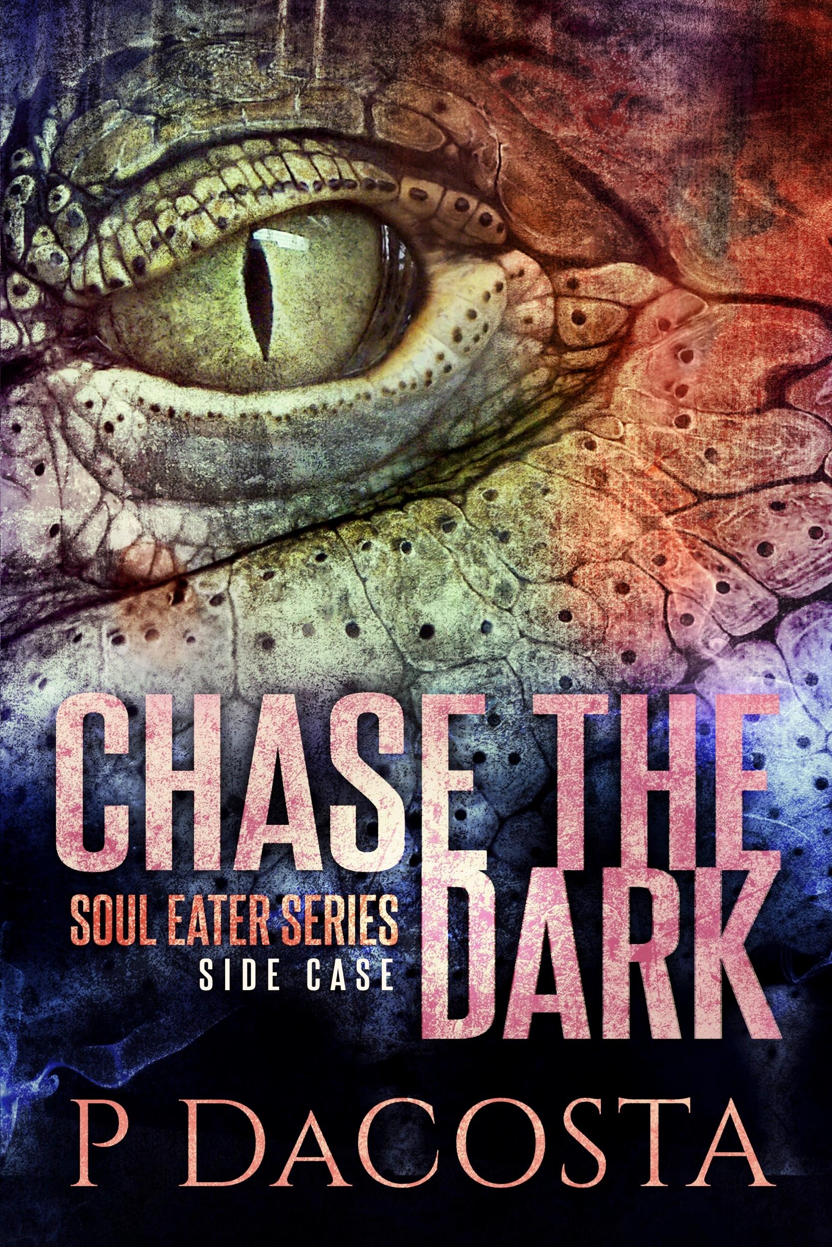 Chase The Dark