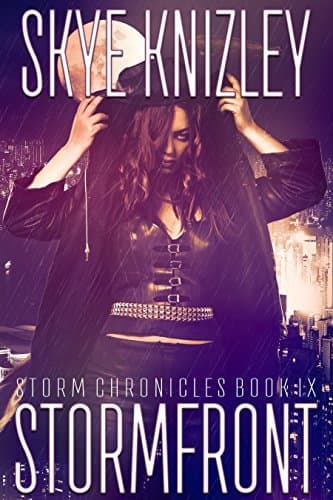 Stormfront book cover