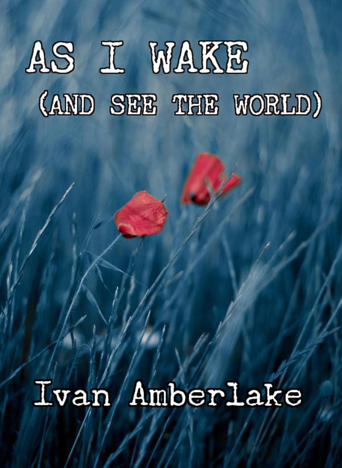 As I Wake (and See the World) book cover