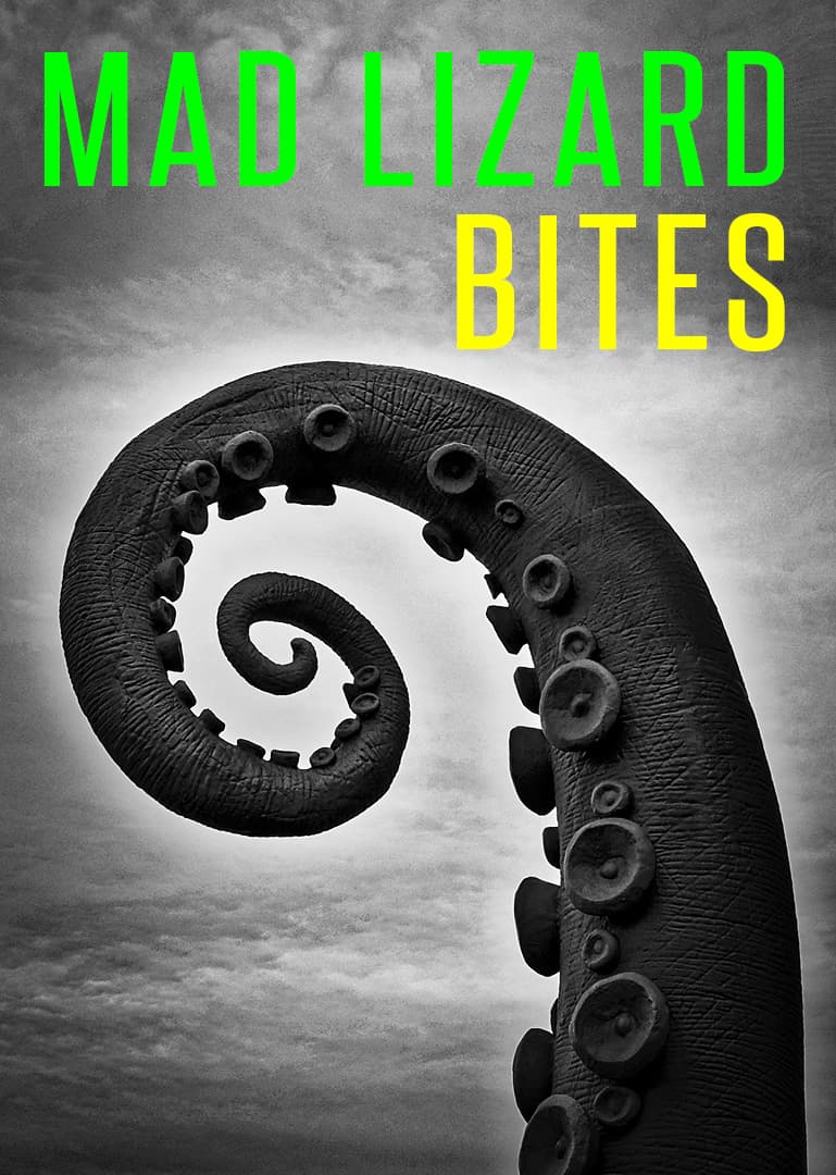 Mad Lizard Bites book cover