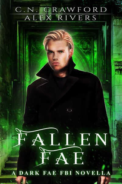 Fallen Fae book cover