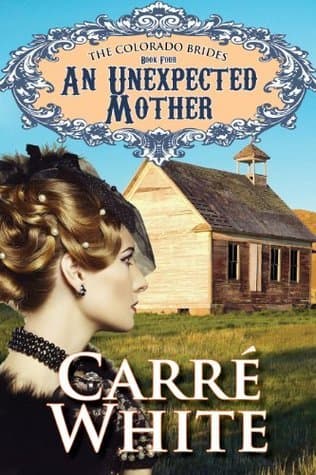 An Unexpected Mother book cover