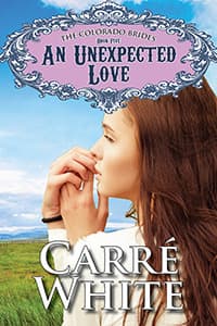 An Unexpected Love book cover