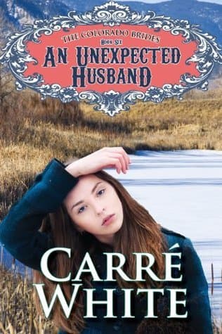 An Unexpected Husband book cover