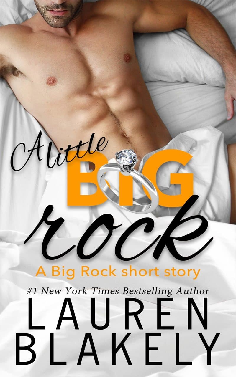 A Little Big Rock book cover